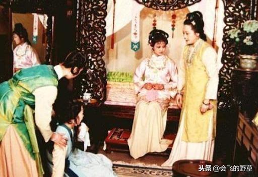 为什么我家猫主子总把我当仆人？