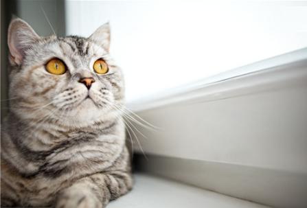 软件测试要学啥？基础计算机知识、编程语言等都得掌握