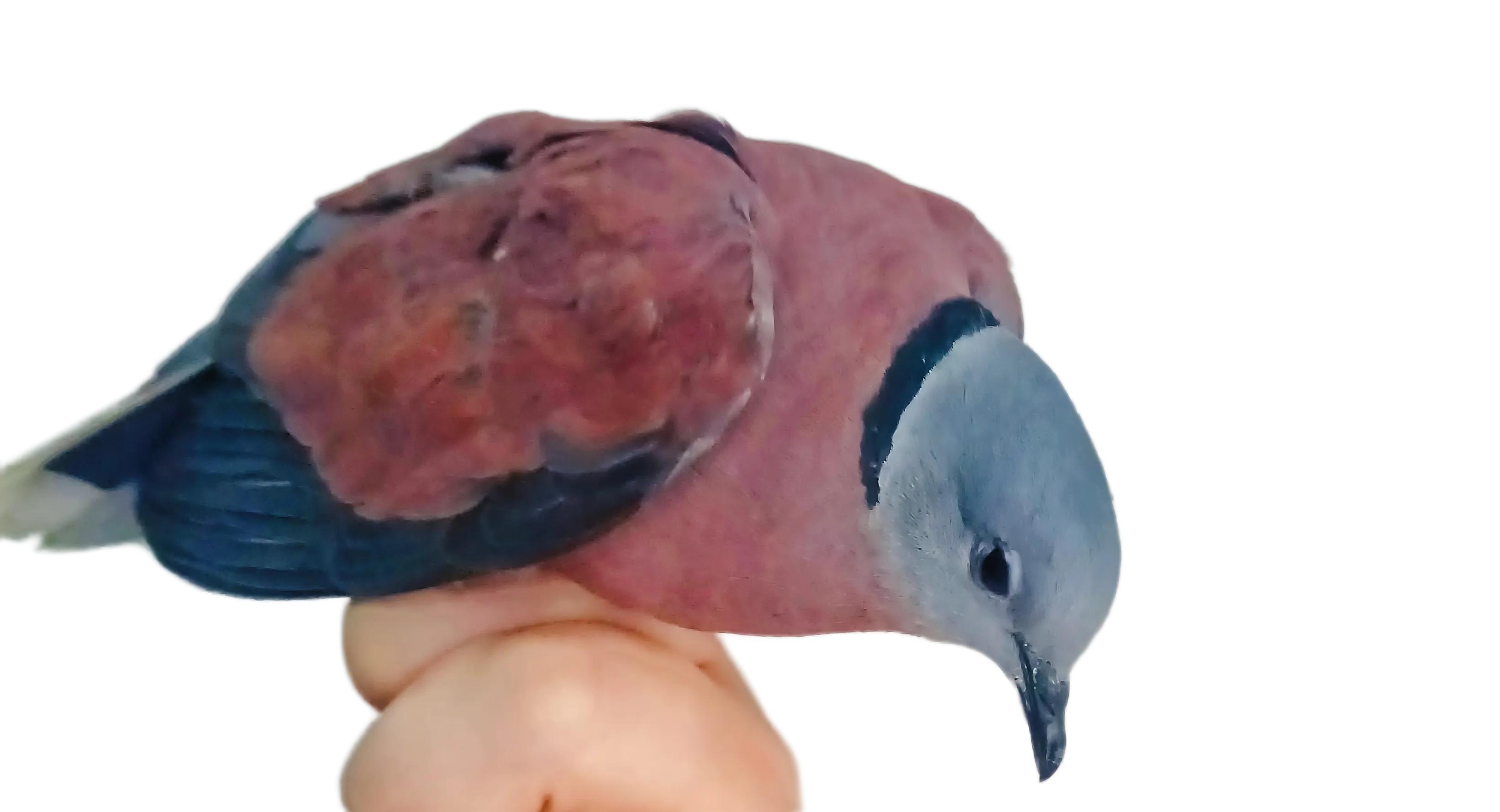 导航去陌生地方总迷路怎么办？