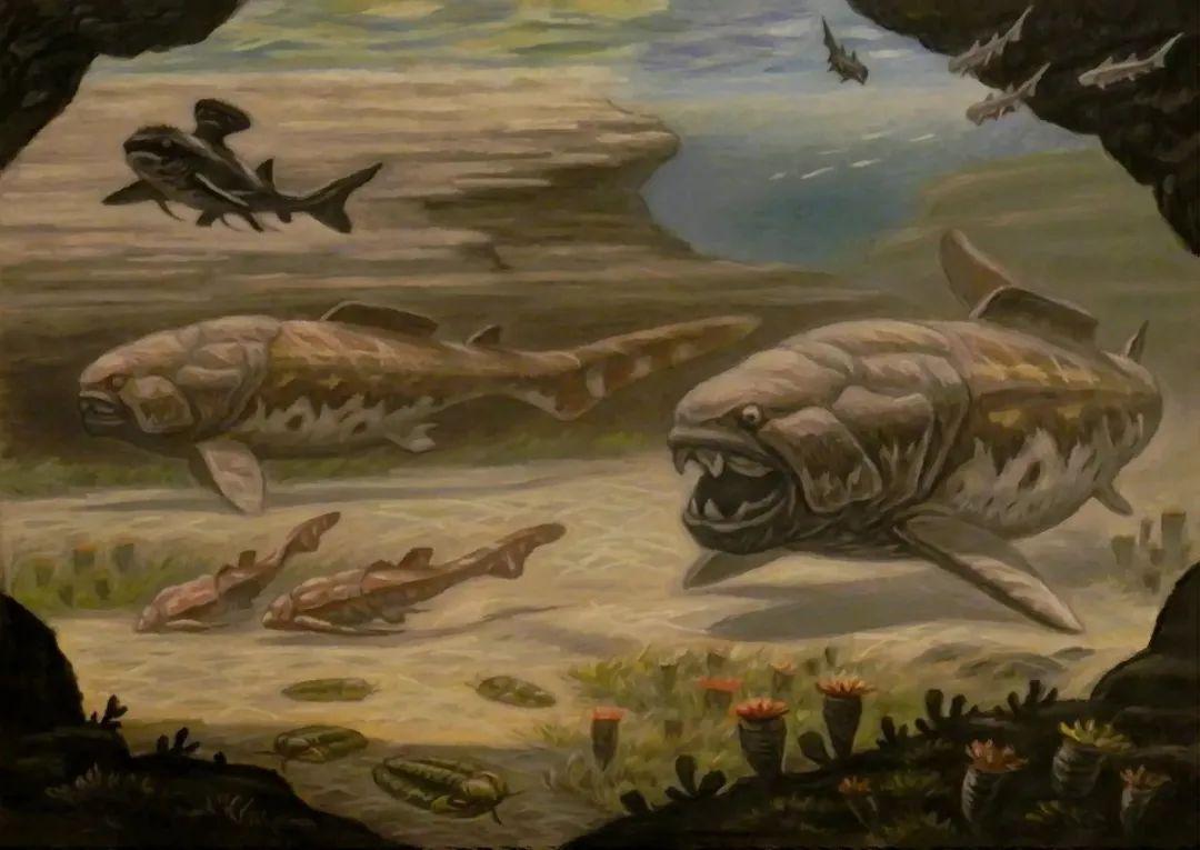 牙齿形状真能看出命运好坏吗？