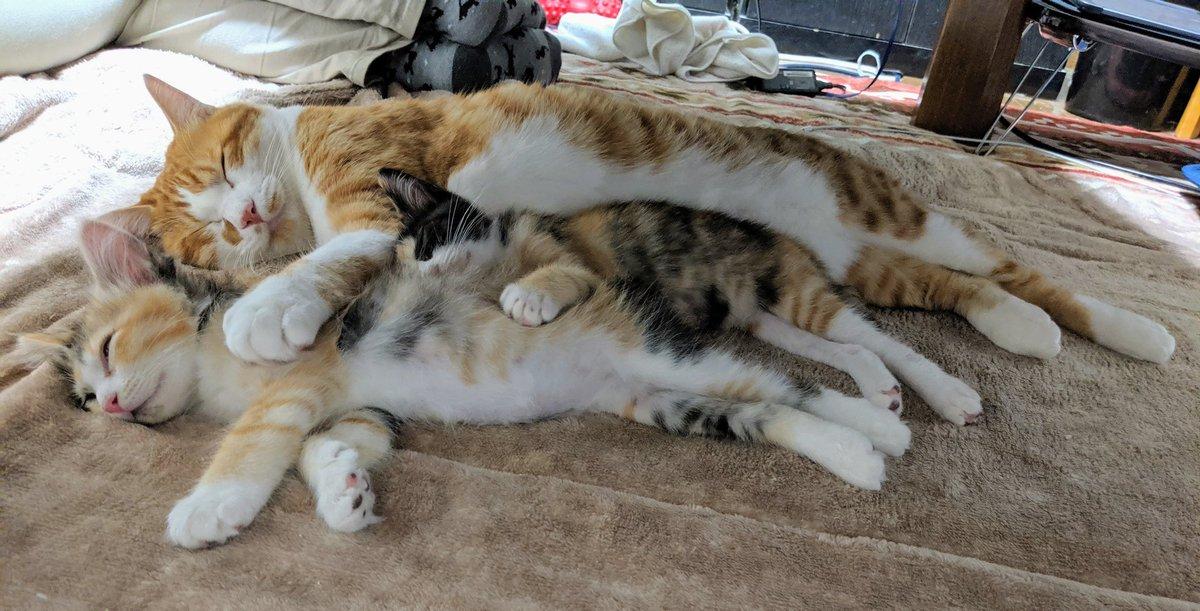 第一次去武里南该怎么玩才不会踩坑？