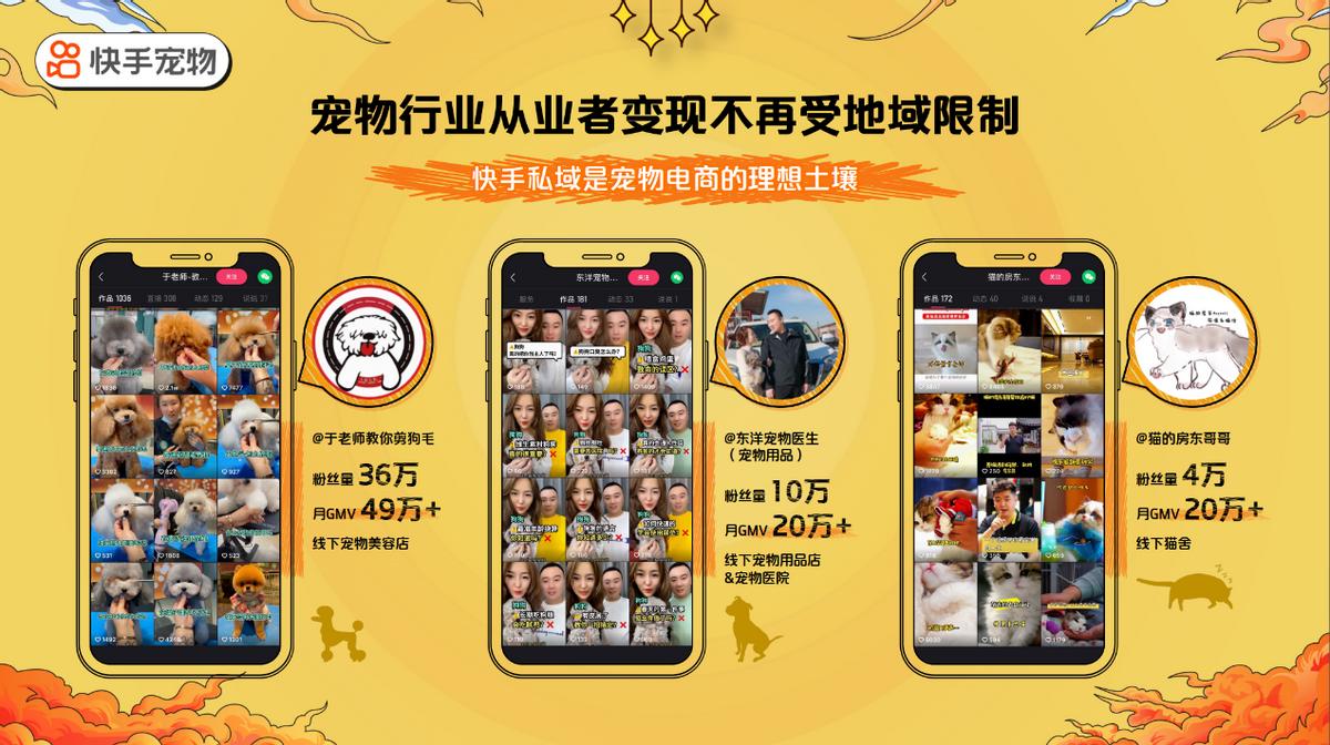 网上吸猫到底有哪些靠谱渠道? 网上吸猫到底有哪些靠谱渠道?