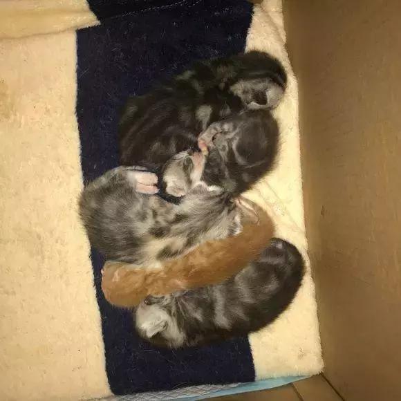 命相测试真能帮你少走十年弯路吗? 命相测试真能帮你少走十年弯路吗?