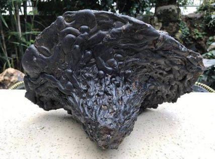 11月18日究竟藏着多少你不知道的秘密？