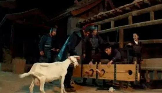 为什么你家猫总摆出让人笑到缺氧的表情? 为什么你家猫总摆出让人笑到缺氧的表情?