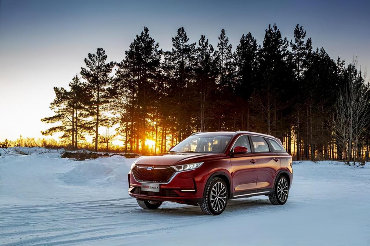 新手铲屎官怎么让猫咪夏天不暴躁？