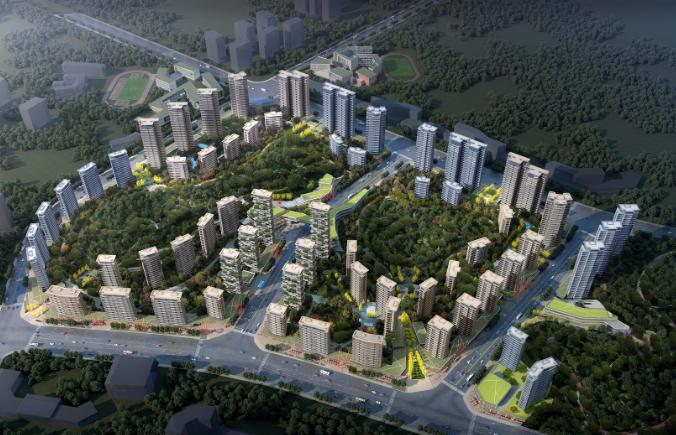 猫咪打喷嚏喷黄鼻涕？新手如何快速应对？