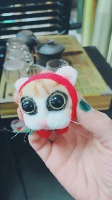 外婆有只花猫咪儿歌怎么教才最有效？