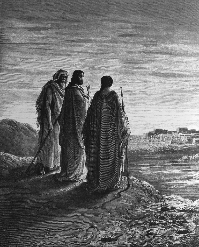 你家猫主子到底是何方神圣？