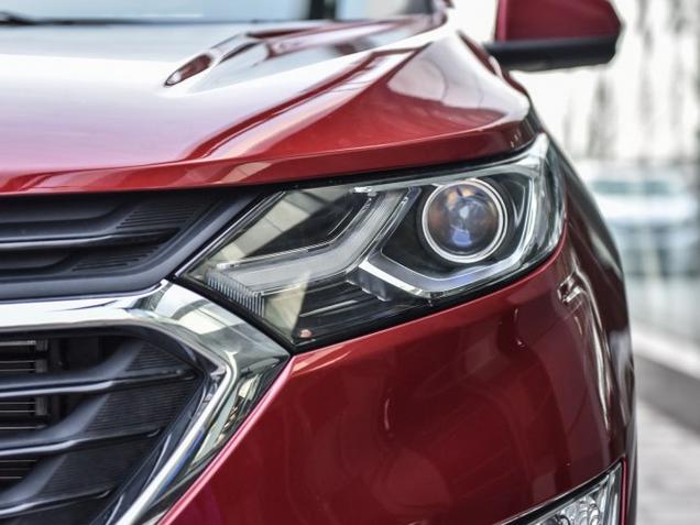 猫咪的脚垫湿漉漉是在流汗吗？