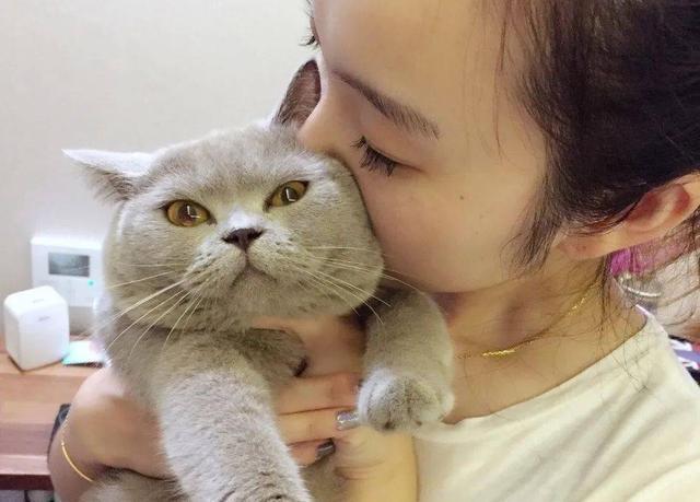 猫咪突然弓背炸毛,是要攻击还是害怕? 猫咪突然弓背炸毛,是要攻击还是害怕?