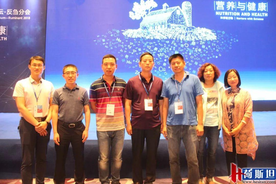 二手宝马Z4报价到底值不值 5万差价背后藏着哪些猫腻