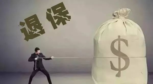 退保险前必看！你知道退保险需要哪些手续和材料吗？一文讲透不踩坑