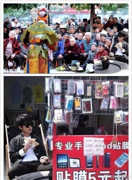 为什么刷猫咪图片停不下来？