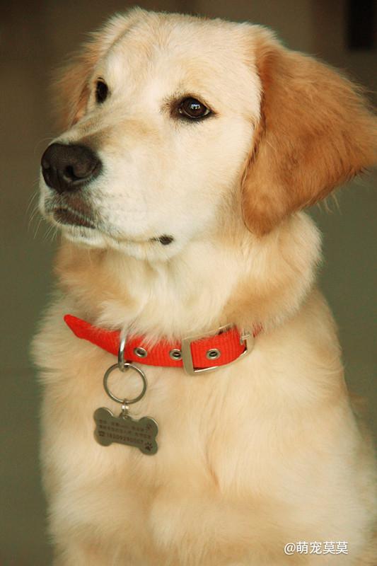 带女儿旅行怎么才能不鸡飞狗跳？