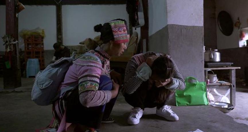 你家猫咪还在随地大小便吗？手把手教你训练主子用猫砂盆