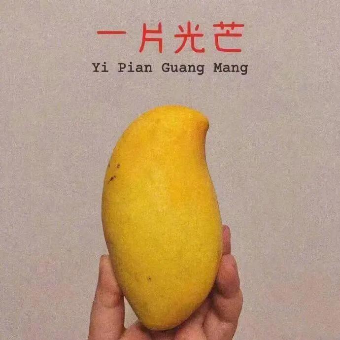 刚来美国怎么快速找到靠谱的华人论坛？