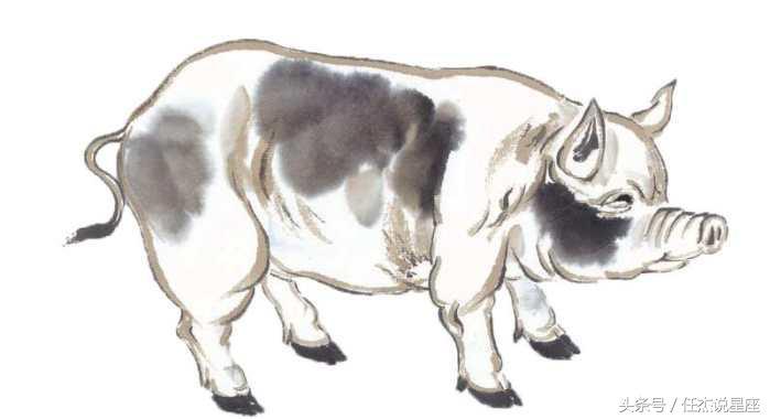 2018年生肖排码表真的能预测运势吗？