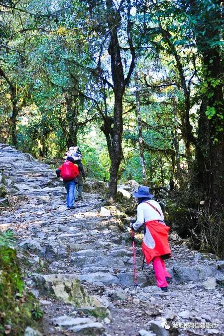 刚注册abc华人论坛,怎么玩转这个海外华人大本营? 刚注册abc华人论坛,怎么玩转这个海外华人大本营?