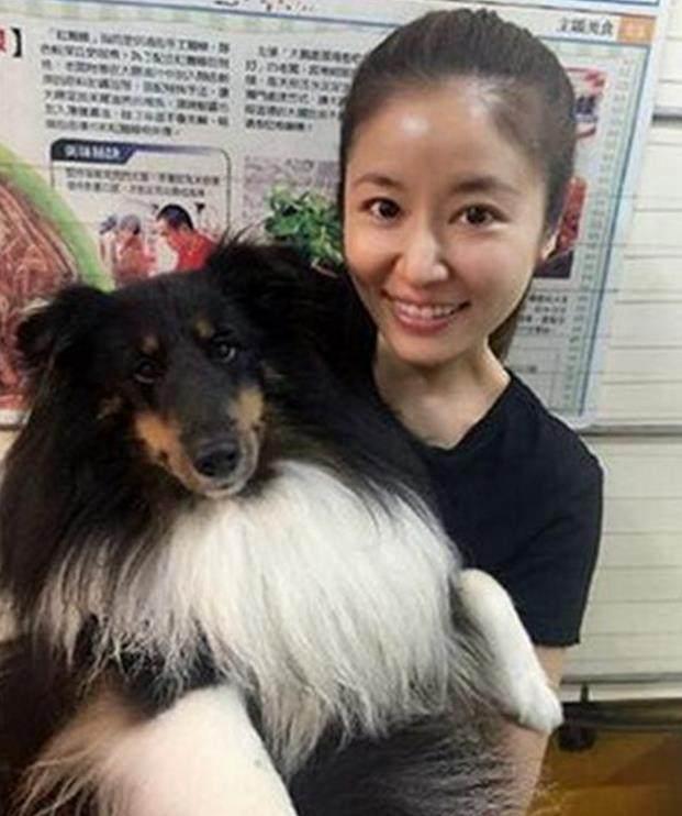 现代伊兰特论坛：车主真实评价与使用技巧，车型对比与热门话题解析