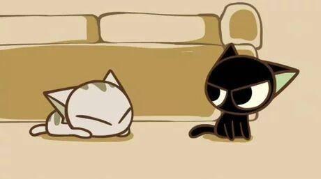 为什么动漫里的猫咪总让人欲罢不能？