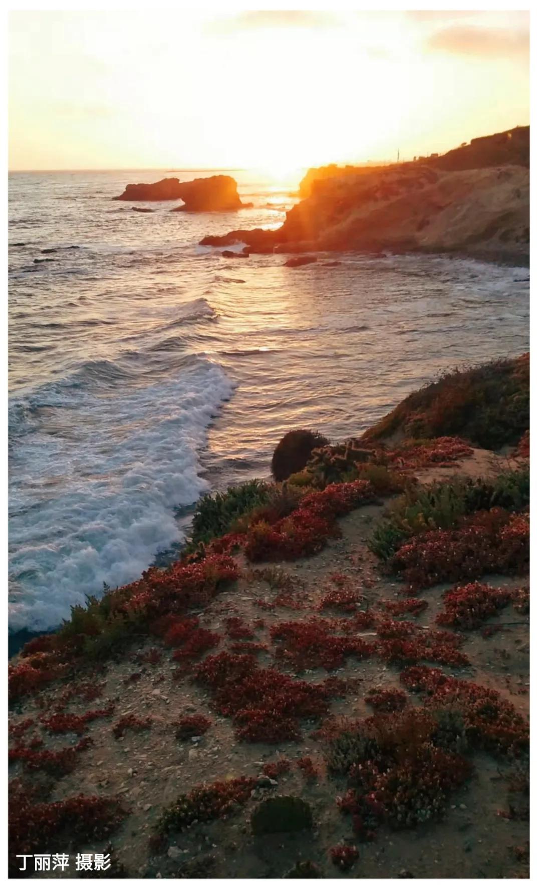 英格兰足球宝贝到底是啥来头？