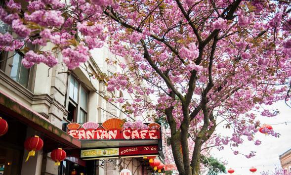 北美华人论坛能给农村人带来啥实际好处？