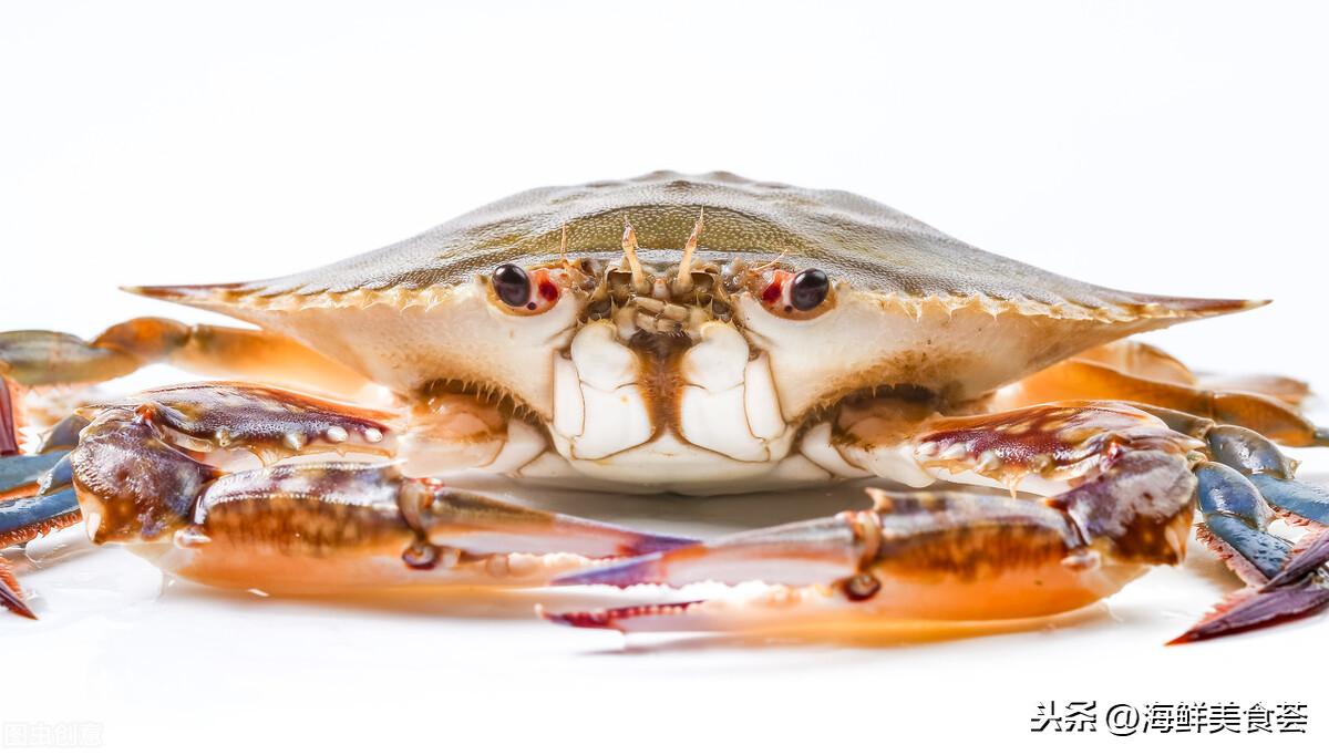 夜间行车安全必备，解析声音视频记录软件核心功能，如何避免“又疼又叫”的驾驶风险？