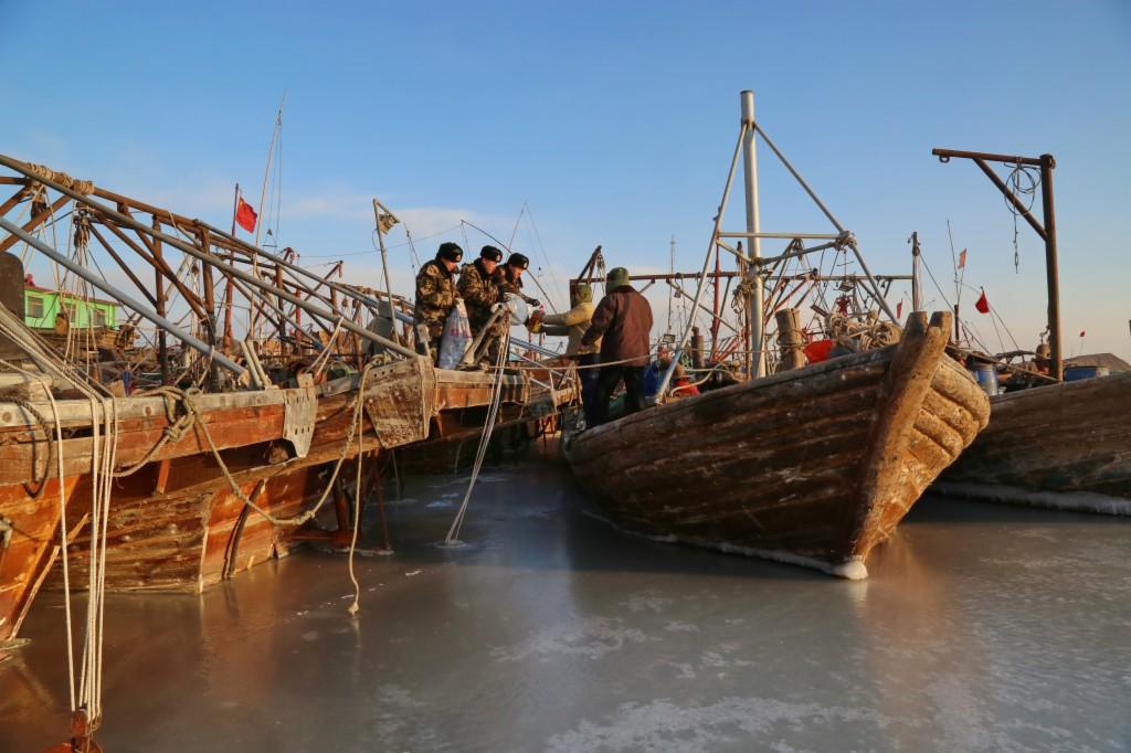 你家猫拉稀的照片能看出大问题吗？