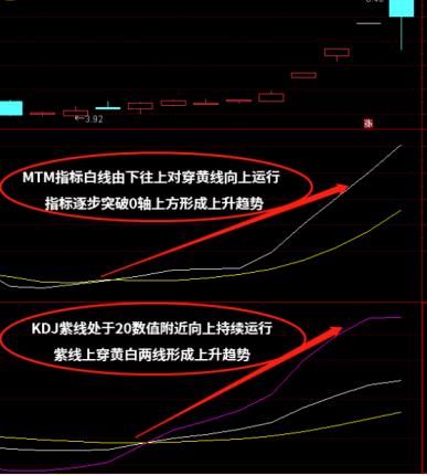 mtm指标到底是什么意思？新手必看的详解教程帮你快速搞懂