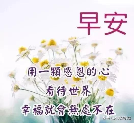 佳美2.2：经典车型的耐用性解析，为何成为二手车市场宠儿？