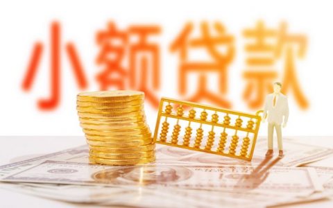 小白象贷款好通过吗？申请通过率如何？影响因素一文讲清