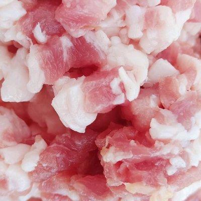 相对于普通社会律师而言，公职律师的根本特征是（）