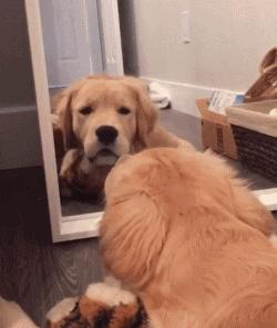 老黄历真的能帮我们避开倒霉事吗？