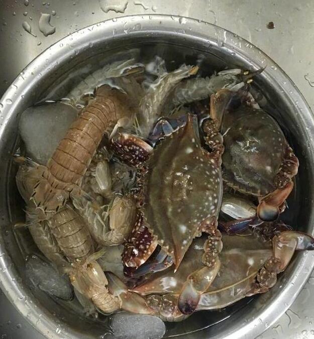 给主子喂螃蟹会不会出大事啊？