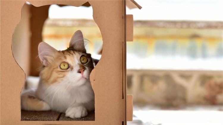 英菲尼迪FX到底值不值得买？