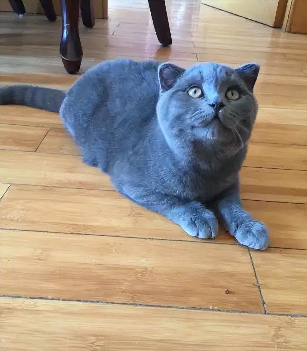 为什么别人玩辅助能carry全场，你却只能当移动眼位？