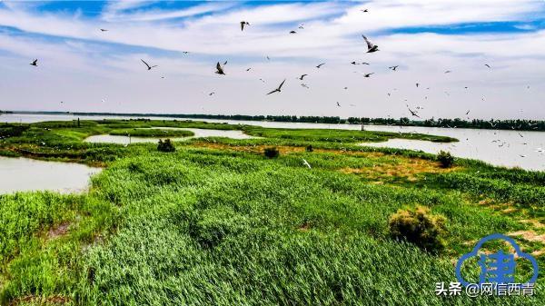 天津黄标车现在还能正常上路行驶吗? 天津黄标车现在还能正常上路行驶吗?