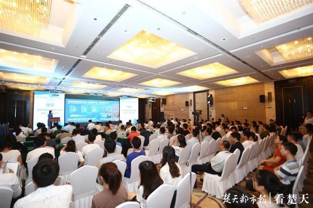 普通人如何给自己算命？3分钟掌握入门技巧