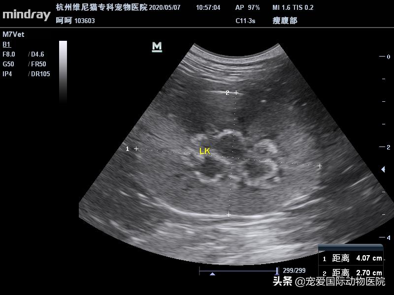 华泰柏瑞App被骗充值无法提现怎么办-平台充值无法提现如何追回