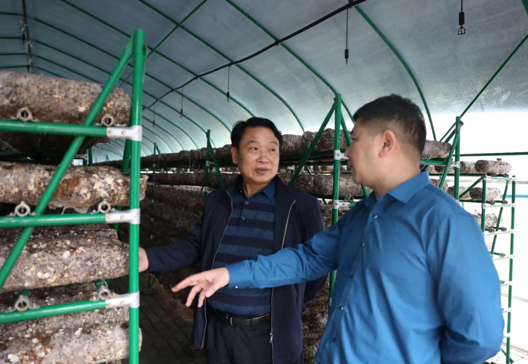 北美华人论坛聊农村为啥总踩不准节奏？