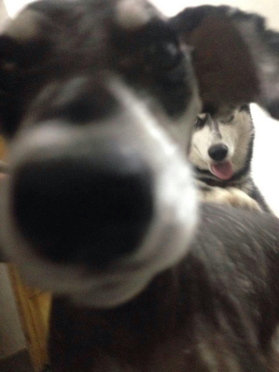 汕头算命到底准不准？这几位老师傅为啥排队3小时都见不到？