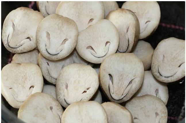 你家猫主子偷吃葱花会不会突然口吐白沫？