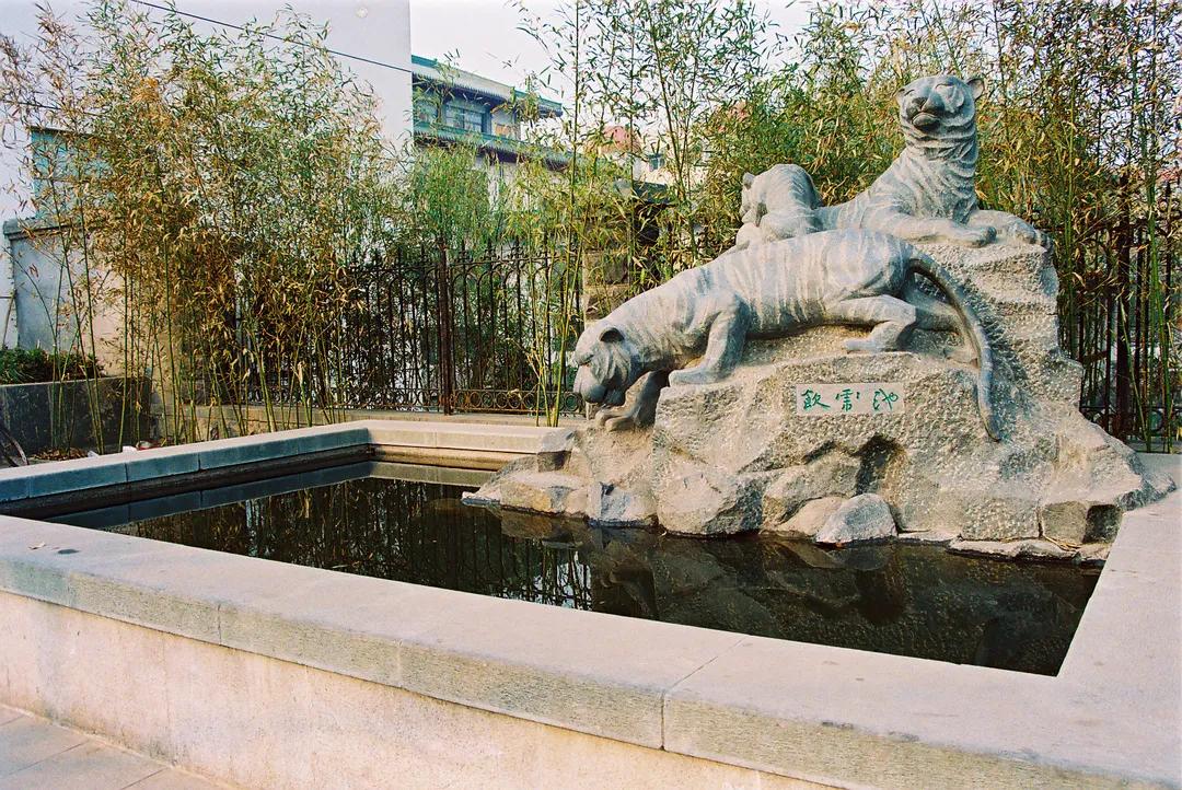 1993年出生的你，真的知道自己属什么吗？