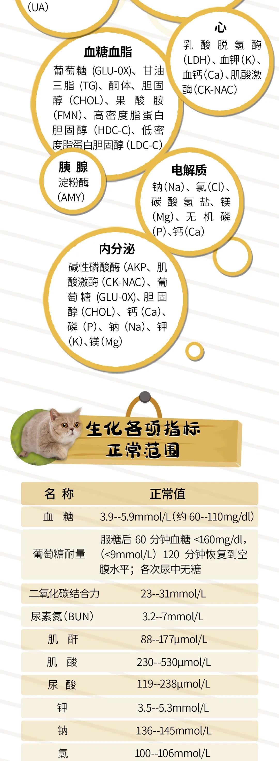 你家猫主子体检单上的 生化检查 到底查什么? 你家猫主子体检单上的 生化检查 到底查什么?