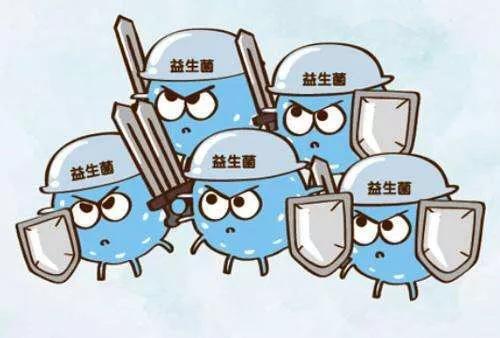 北京现代特拉卡报价:还在为买车预算发愁?高额车价背后的省钱秘籍曝光 北京现代特拉卡报价:还在为买车预算发愁?高额车价背后的省钱秘籍曝光