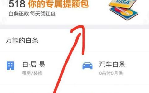 京东白条2000元提额包怎么用？详细步骤奉上，让你用对提额福利
