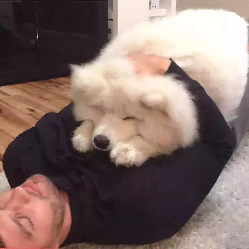 瑞虎5真的适合新手小白吗?看完这篇再决定要不要买 瑞虎5真的适合新手小白吗?看完这篇再决定要不要买