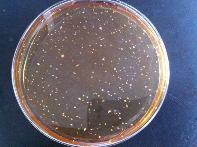 锋范报价怎样省5000元？看懂费用构成避坑指南