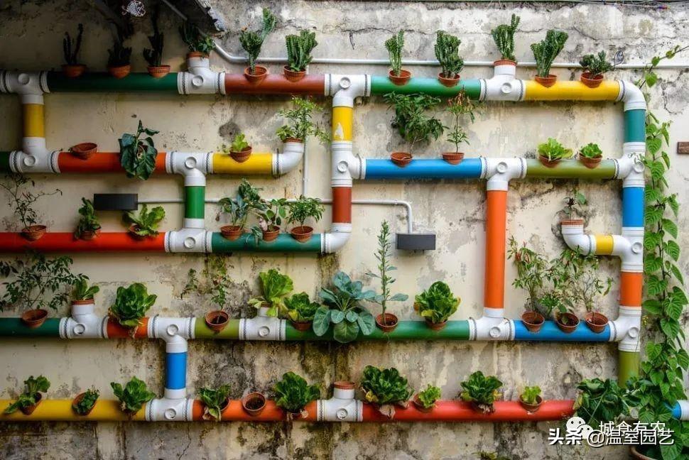 G6论坛到底怎么玩？新手如何快速上手不被坑？